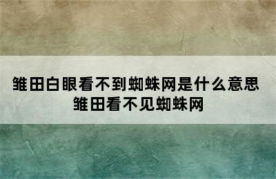 雏田白眼看不到蜘蛛网是什么意思 雏田看不见蜘蛛网